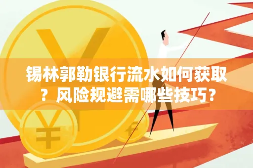 锡林郭勒银行流水如何获取?风险规避需哪些技巧?