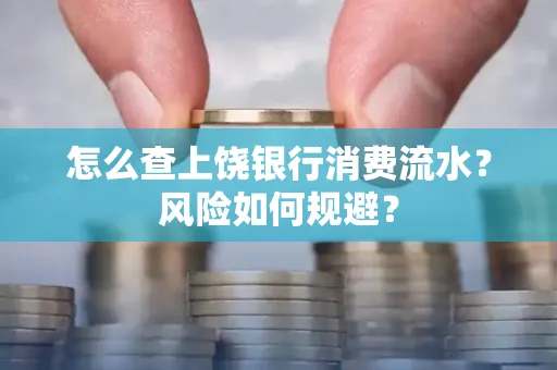 怎么查上饶银行消费流水?风险如何规避?