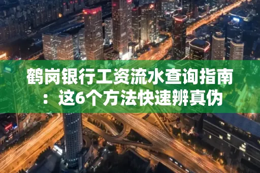 鹤岗银行工资流水查询指南：这6个方法快速辨真伪
