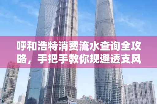 呼和浩特消费流水查询全攻略，手把手教你规避透支风险