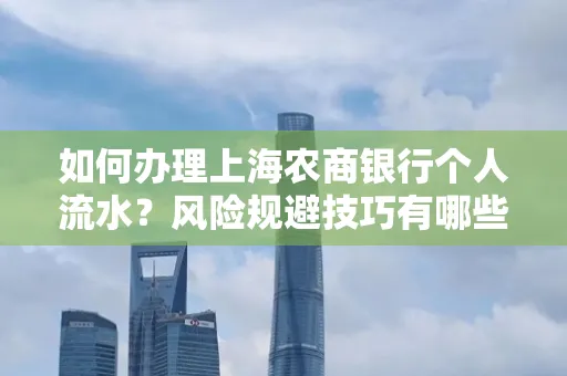 如何办理上海农商银行个人流水?风险规避技巧有哪些?