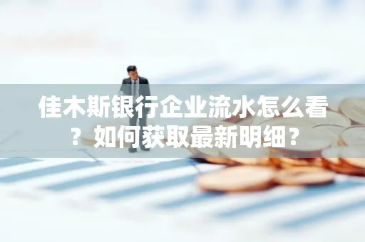 佳木斯银行企业流水怎么看?如何获取最新明细?