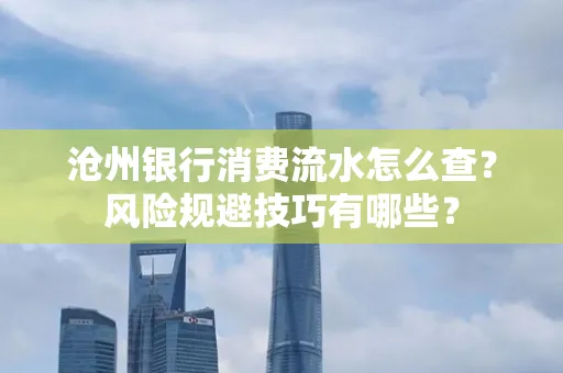 沧州银行消费流水怎么查?风险规避技巧有哪些?