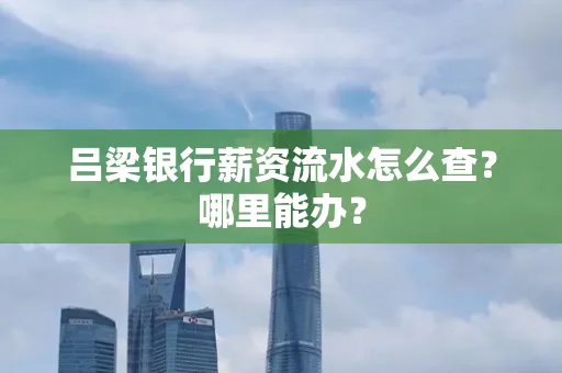 吕梁银行薪资流水怎么查?哪里能办?