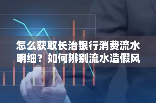 怎么获取长治银行消费流水明细?如何辨别流水造假风险?