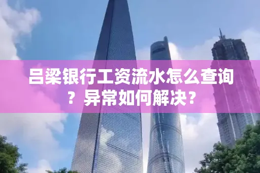 吕梁银行工资流水怎么查询?异常如何解决?