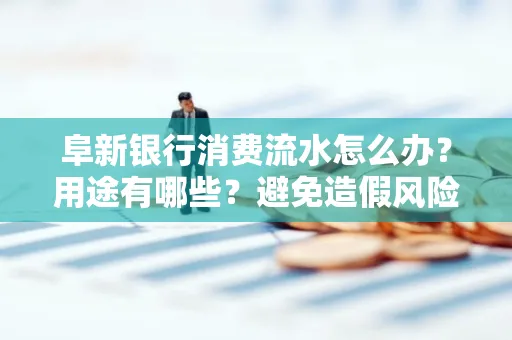 阜新银行消费流水怎么办?用途有哪些?避免造假风险方法