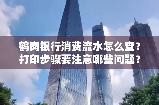 鹤岗银行消费流水怎么查?打印步骤要注意哪些问题?