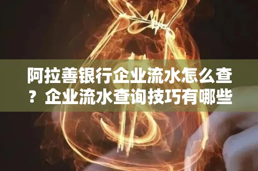 阿拉善银行企业流水怎么查?企业流水查询技巧有哪些?