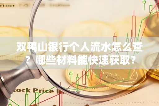双鸭山银行个人流水怎么查?哪些材料能快速获取?