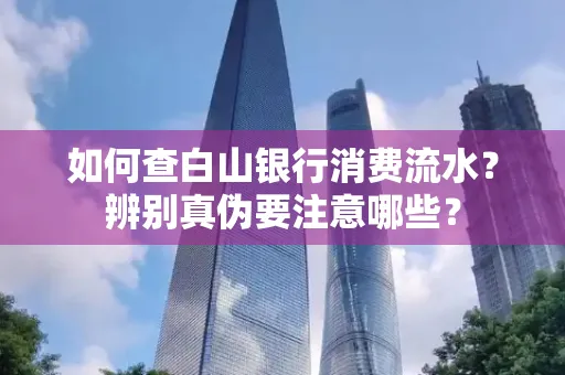 如何查白山银行消费流水?辨别真伪要注意哪些?