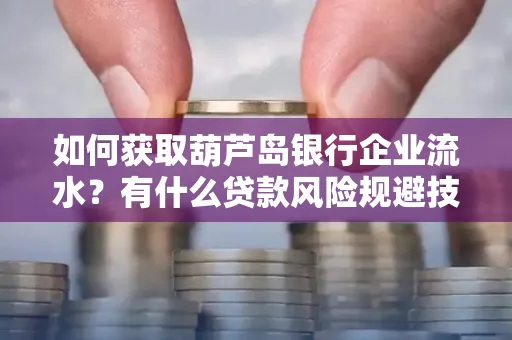 如何获取葫芦岛银行企业流水?有什么贷款风险规避技巧?
