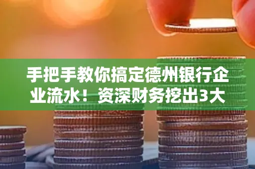 手把手教你搞定德州银行企业流水!资深财务挖出3大隐藏风险点