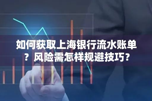 如何获取上海银行流水账单?风险需怎样规避技巧?