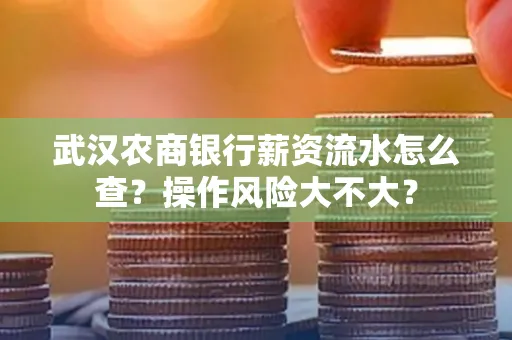 武汉农商银行薪资流水怎么查？操作风险大不大？