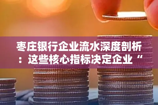枣庄银行企业流水深度剖析：这些核心指标决定企业“钱袋子”健康度