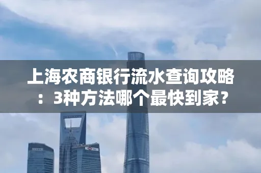 上海农商银行流水查询攻略：3种方法哪个最快到家？