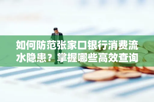 如何防范张家口银行消费流水隐患？掌握哪些高效查询技巧？