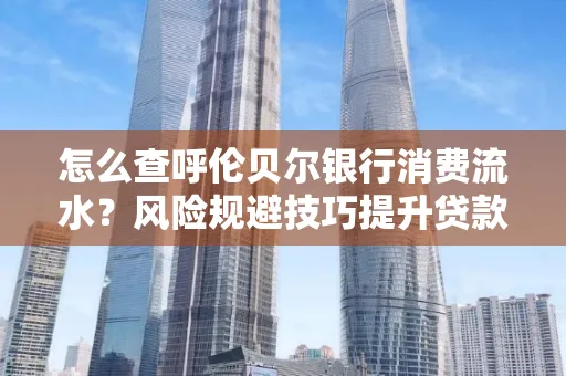 怎么查呼伦贝尔银行消费流水？风险规避技巧提升贷款率？